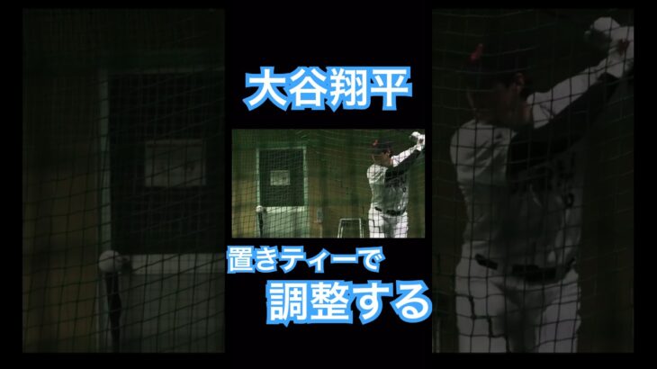 【WBC】室内に入り置きティーで調整する大谷翔平 #大谷翔平 #shoheiohtani #mlb #mvp #wbc #angels #dodgers #侍ジャパン #エンゼルス