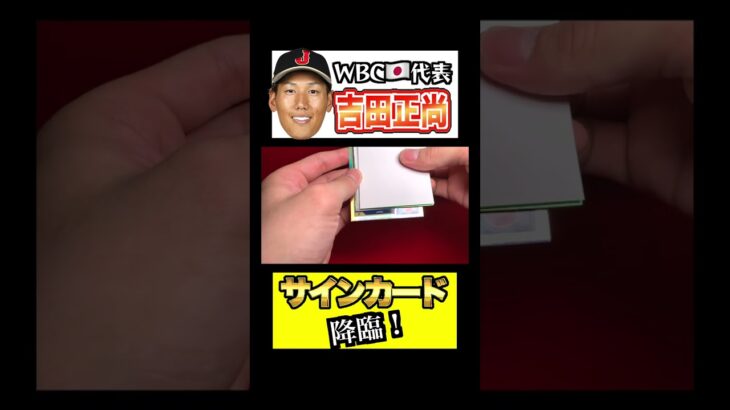 【開封動画】WBC打点王、吉田正尚のサインカードを神引きした歴史的瞬間 #shorts