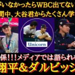 【WBC大谷絶賛】最高の関係！リスペクトし合う理想の先輩後輩！大谷翔平＆ダルビッシュ有～日ハムの背番号「11」を受け継いだ超人たち～【最高の関係】 【WBC日本代表】