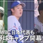 県勢にWBC日本代表も　プロ野球キャンプ開幕！（沖縄テレビ）2024/2/5