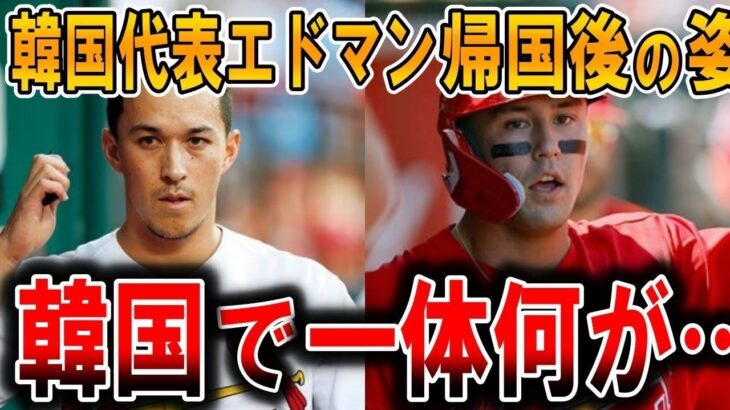 【海外の反応】WBC韓国代表エドマンが所属チームに戻って…一体どこで間違えた!?WBCで日本代表として優勝したヌートバーと、韓国代表として出場したエドマンが所属チームに帰った結果…【ゆっくり解説】