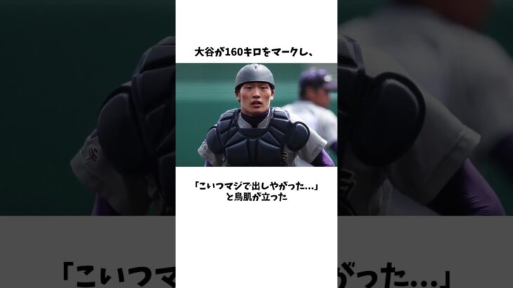 大谷翔平が育った「ゆるい街」岩手県水沢市に関する雑学　#野球 #高校野球 #甲子園 #プロ野球 #mlb #大谷翔平