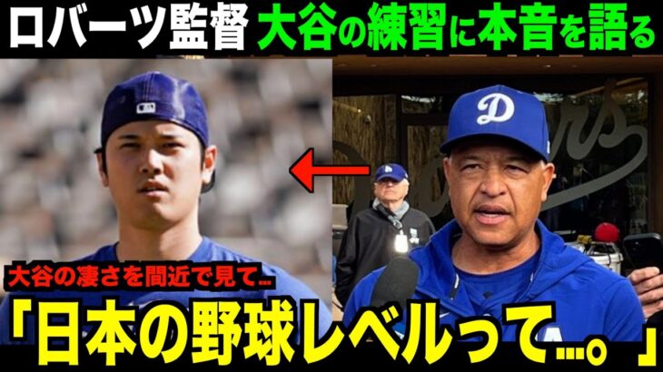 【海外の反応】ロバーツ監督が大谷翔平のキャンプ練習に本音を語る「日本の野球レベルって…。」ohtani 大谷翔平 トラウト　佐々木朗希　山本由伸 藤浪晋太郎　中野 拓夢