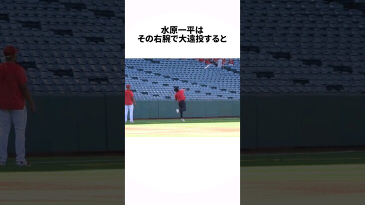 大谷翔平通訳・水原一平の雑学エピソードpart2