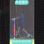 大谷翔平バッティングフォームカッコ良すぎ💕shohei batting form looks incredibly cool#shorts #shoheiohtani  #dodgers  #mbl