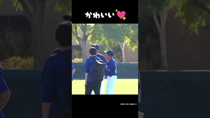 かわいい💘 #大谷翔平 #shoheiohtani #baseball #trending #mlb #メジャーリーグ #野球 #野球解説 #dodgers #fypシ