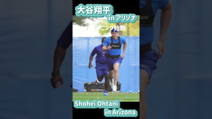 大谷翔平アリゾナキャンプ地でトレーニング！#shoheiohtani #shorts #大谷翔平現地映像 #大谷翔平 #dodgers #野球