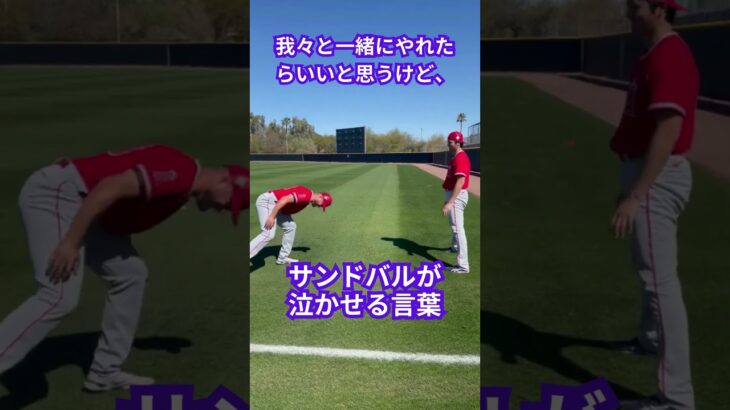 【大谷翔平】サンドバルが泣かせる言葉：同僚から敵になっても「嬉しい。友達の成功は見たい」😭😭😭 #shorts #shoheiohtani #baseball