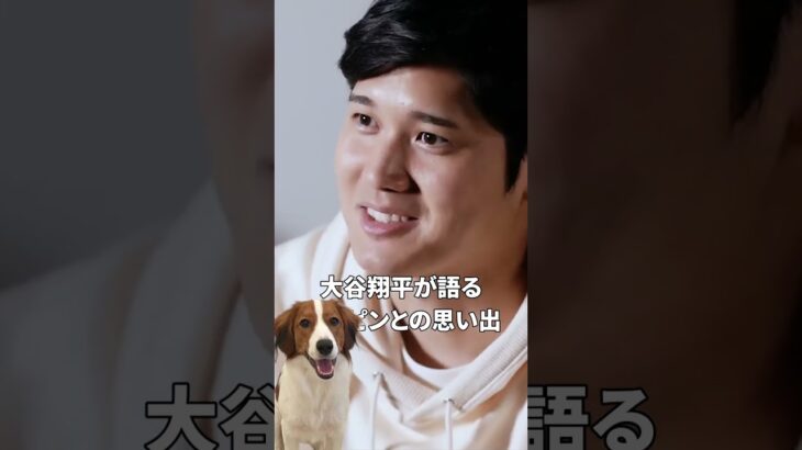 【愛犬】大谷翔平 デコピンとの思い出を語る大谷翔平 #shorts #shoheiohtani  #大谷翔平 #デコピン #decoy