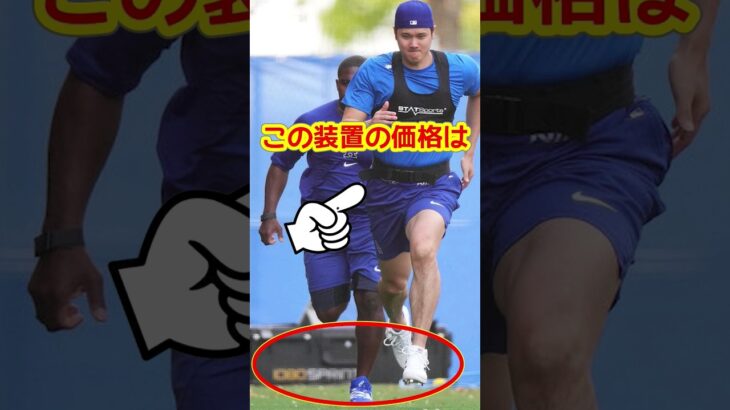 大谷翔平がキャンプで使用しているスポーツ器具がヤバい…#大谷  #shortvideo  #雑学