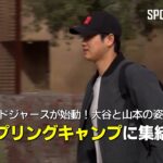 大谷翔平、山本由伸がドジャーススプリングキャンプに合流！ #大谷翔平 #山本由伸