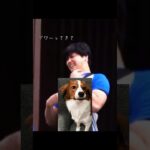 🐶💕伝わらない愛犬の話し   #大谷翔平 #デコピン #あるある