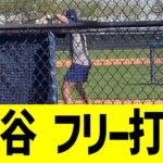 大谷翔平、フリー打撃でかっとばし始める