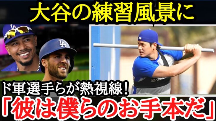 大谷の練習風景に、ド軍選手らが早くも熱視線！！「彼は僕らのお手本だ」 【大谷翔平】大谷の野球に対する「姿勢」や「人間性」に早くもチームメイトらが絶賛！チーム内でも参考になるその取り組み方とは？