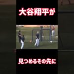 【大谷翔平が見つめるその先に…】