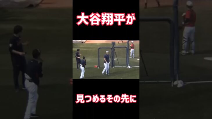 【大谷翔平が見つめるその先に…】