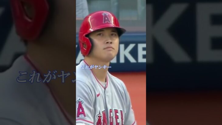 本塁打キング大谷翔平選手 ヤンキー・スタジアムに降臨！宿敵マイケルキング投手との対決で容赦ないブーイングを浴びせられる！アテレコは個人的な想像です