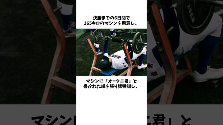 大谷翔平の甲子園を阻んだ「天才打者」盛岡大付･二橋大地に関する雑学　#野球 #高校野球 #甲子園