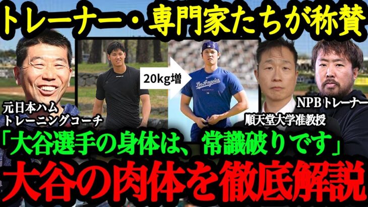 大谷翔平の身体能力が凄すぎる！磨き上げた肉体の秘密に迫る【大谷翔平】【海外の反応】