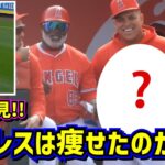 スアレスが痩せた⁉️新たな逸材もご紹介😆 【現地映像】オープン戦エンゼルスvsドジャースShoheiOhtani Dodgers