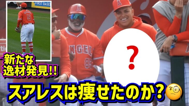 スアレスが痩せた⁉️新たな逸材もご紹介😆 【現地映像】オープン戦エンゼルスvsドジャースShoheiOhtani Dodgers