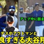 肩をポンポンしてるw ヘルナンデスやアウトマンと楽しそうに絡む大谷翔平【現地映像】ドジャース春季キャンプ2024【スプリングトレーニング】