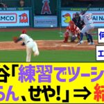 【やばすぎ】大谷「練習でツーシーム曲がらん..せや!!」⇒結果w【プロ野球なんJ反応】