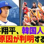 大谷翔平、韓国人気の原因が判明するwww【なんｊプロ野球反応】