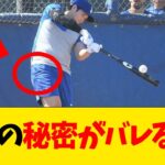 大谷翔平の秘密がバレるwwwwww【なんJ反応】