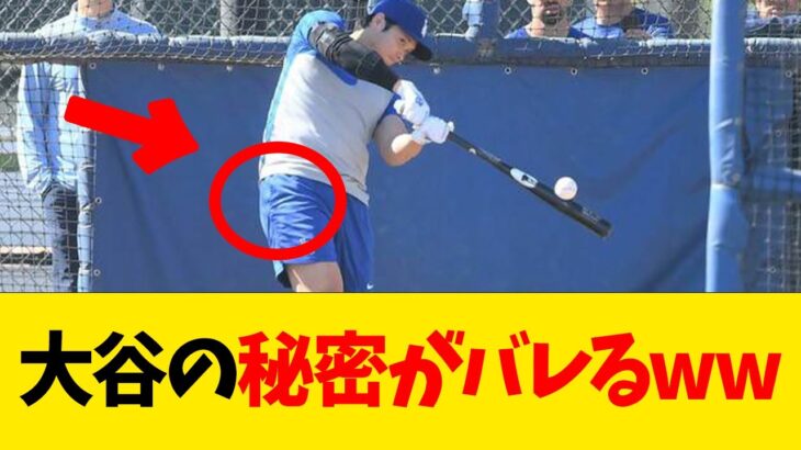 大谷翔平の秘密がバレるwwwwww【なんJ反応】