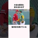 2人の天才「大谷翔平と藤浪晋太郎」に関する衝撃の雑学 #野球 #大谷翔平 #雑学