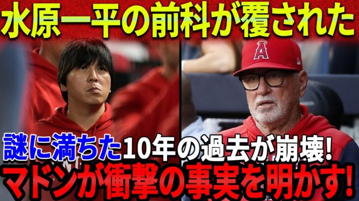 【一平速報】2004年と2009年の逮捕記録が裏返！マドン監督が衝撃の事実を明かす！水原一平の謎に満ちた10年間の過去が完全明らか！水原一平は飛行機のチケットを捨ててアメリカに帰国！