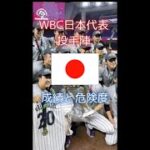 2023年WBC日本代表投手陣　全投手の成績と危険度