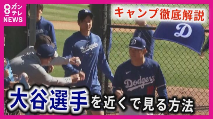 【徹底解説】2024ドジャース アリゾナ春季キャンプの楽しみ方　大谷翔平選手も山本由伸投手も間近で！〈カンテレNEWS〉