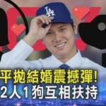 大谷翔平拋結婚震撼彈! 喊未來2人1狗互相扶持20240229｜1700新聞儀點靈｜TVBS新聞 @TVBSNEWS01