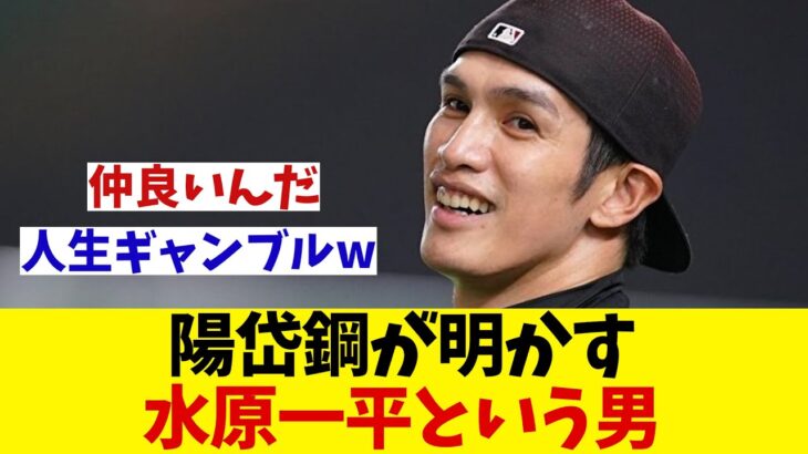 元日本ハム・陽岱鋼が明かす水原一平という男・・・【野球情報】【2ch 5ch】【なんJ なんG反応】