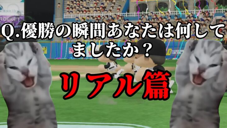 第5回WBC決勝 日本対アメリカ 優勝が決まった瞬間 リアル篇【猫ミーム】