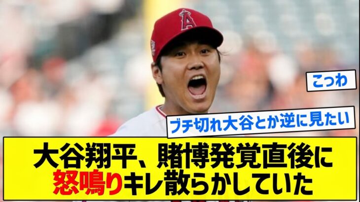 【こええええ】大谷翔平、賭博発覚直後に怒鳴りキレ散らかしていた【5chまとめ】