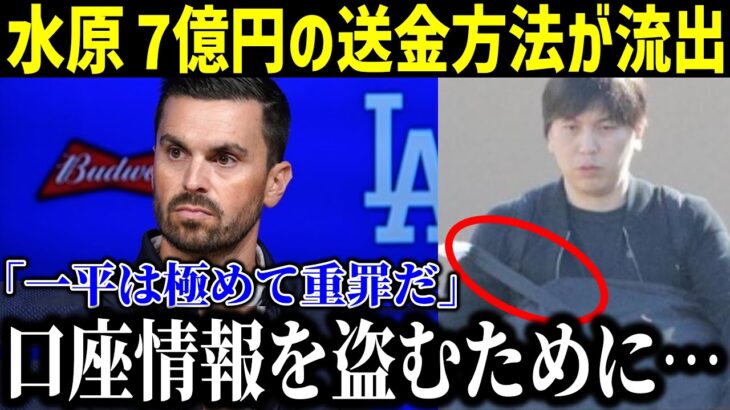 【速報】ついに7億円の送金方法が判明する…フリードマン編成部長が激怒「彼は口座情報を盗むために…」一平の計画的犯行に言葉を失う…【最新/MLB/大谷翔平/水原一平】