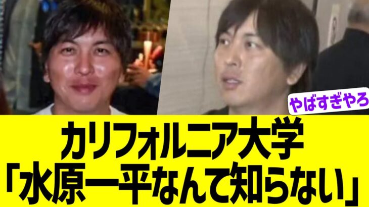 カリフォルニア大学「水原一平なんて知らない。経歴詐称されてるよ、大谷 ドジャース」【なんJ プロ野球反応】