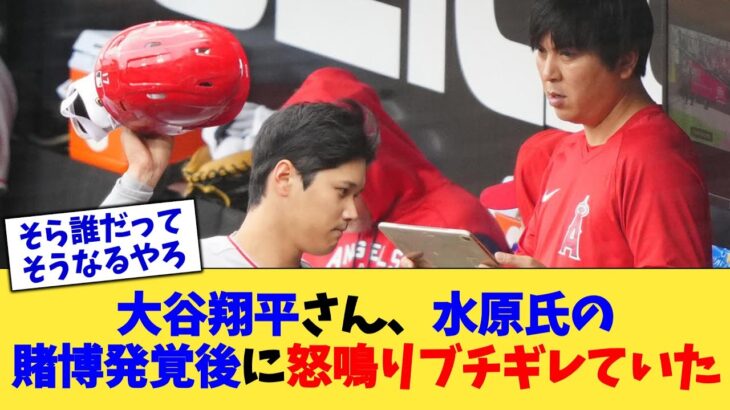 大谷翔平さん、水原氏の賭博発覚後に怒鳴りブチギレていた【なんJ プロ野球反応集】【2chスレ】【5chスレ】