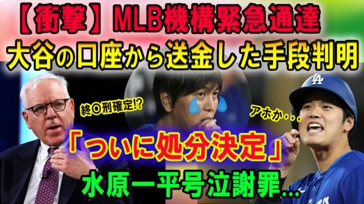 【衝撃】MLB機構緊急通達 !! 大谷の口座から送金した手段判明「ついに処分決定」水原一平号泣謝罪…最後の謎が遂に解ける 「送金方法は3つあって･･･」