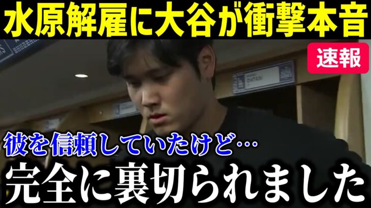 【速報】違法賭博関与の疑いで解雇となった水原一平氏に大谷選手が衝撃本音！「彼には完全に裏切られました…」【最新/MLB/大谷翔平/山本由伸】