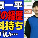 【衝撃】水原一平が通訳になる前の経歴がヤバすぎた…犯罪歴も発覚した素行不良っぷりに一同驚愕！！【MLB】