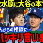 大谷翔平が“激ヤセ&ド軍解雇”の水谷一平に発した言葉に涙…真美子夫人の隣の水原の妻も！MLB開幕戦ダルビッシュ有との対決は5打数2安打1打点1盗塁もインスタ解除で7年間の専属通訳が終了【海外の反応】