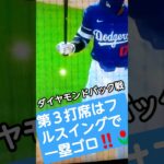 ⚾🐶大谷翔平ダイヤモンドバックス戦‼️速報💐#ShoheiOhtani🌷👸🐶🌸#Shorts🌈