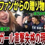 WBCチェコ代表へ新事実！！日本人ファンからの贈り物が原因で国内で大炎上！ ボールガール直撃失格問題の現地報道はどうなっているの？#海外の反応