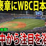 紫綬褒章にWBC日本代表！世界からの称賛…日本の野球ファンが注目を浴びる！#海外の反応