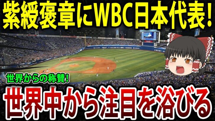 紫綬褒章にWBC日本代表！世界からの称賛…日本の野球ファンが注目を浴びる！#海外の反応