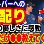 大谷翔平のヌートバーに対する神対応に世界が感動！日本式を教えるさりげない●●が話題に！！【WBC・MLB・メジャーリーグ・プロ野球】